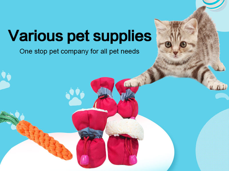 Various pet supplies