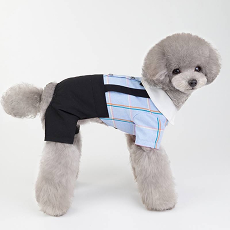 Summer school uniform for dog
