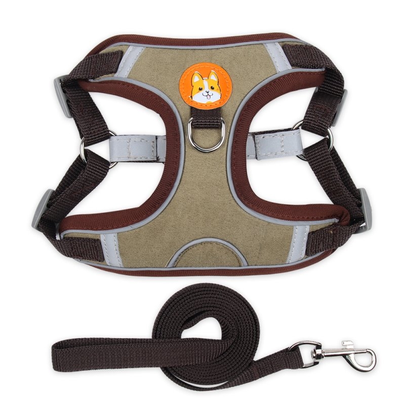 Chamois harness with leash