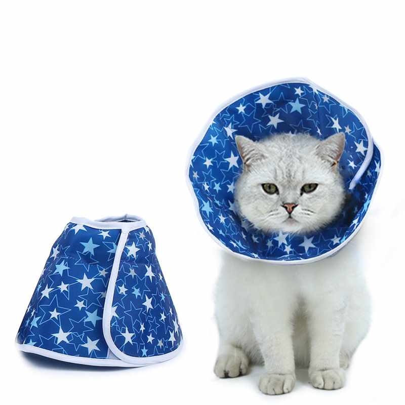 Blue Star Pet Recovery Collar