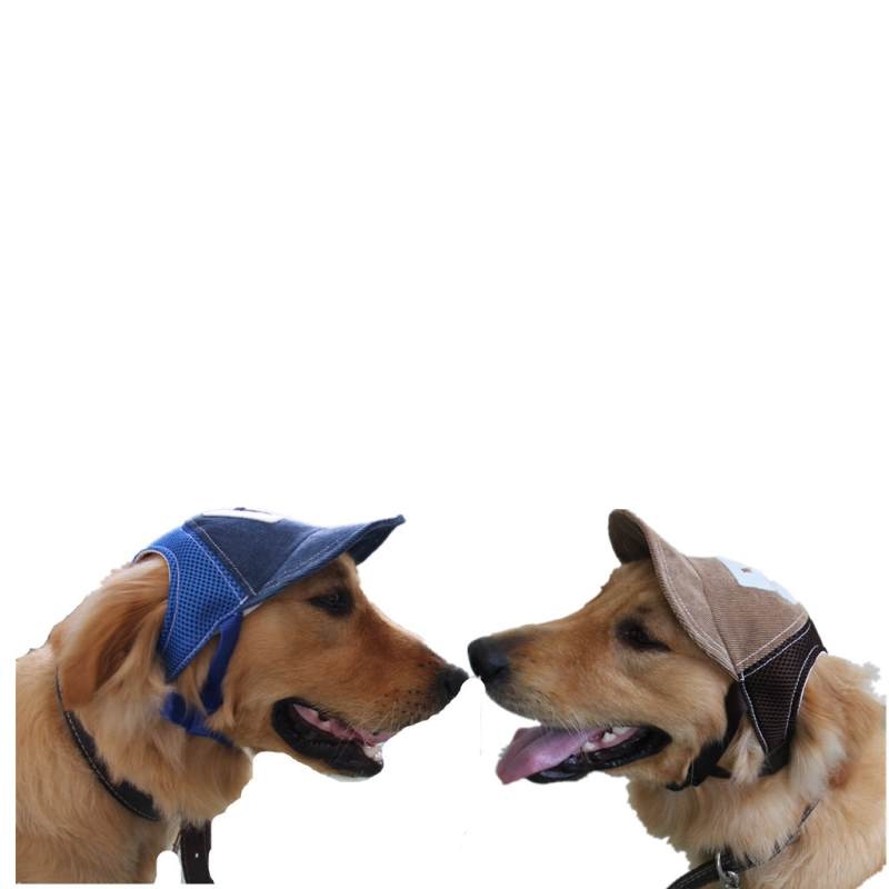 Dog baseball hat