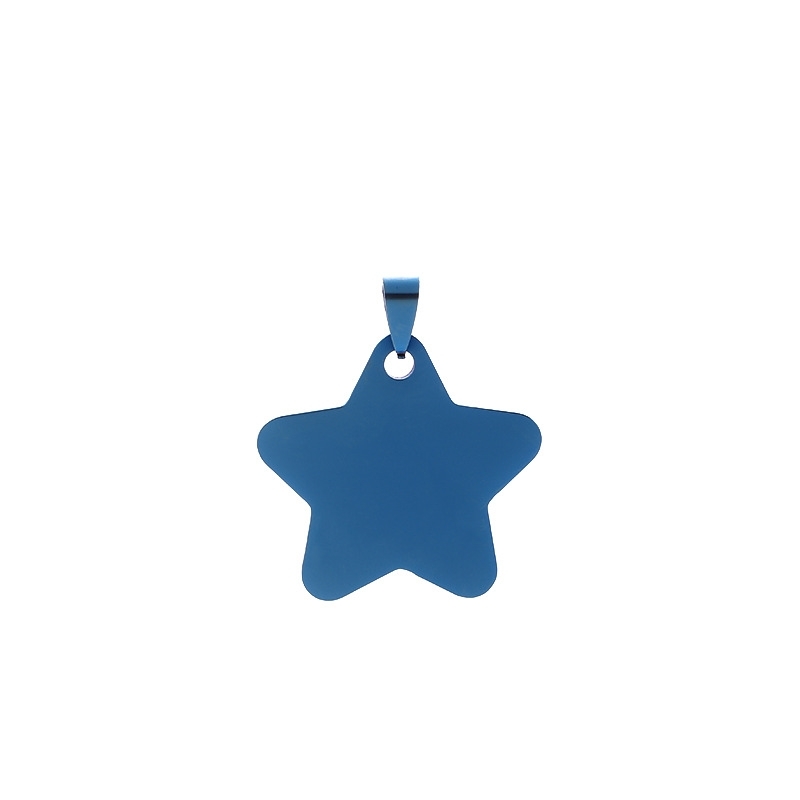 Star shaped pet tag