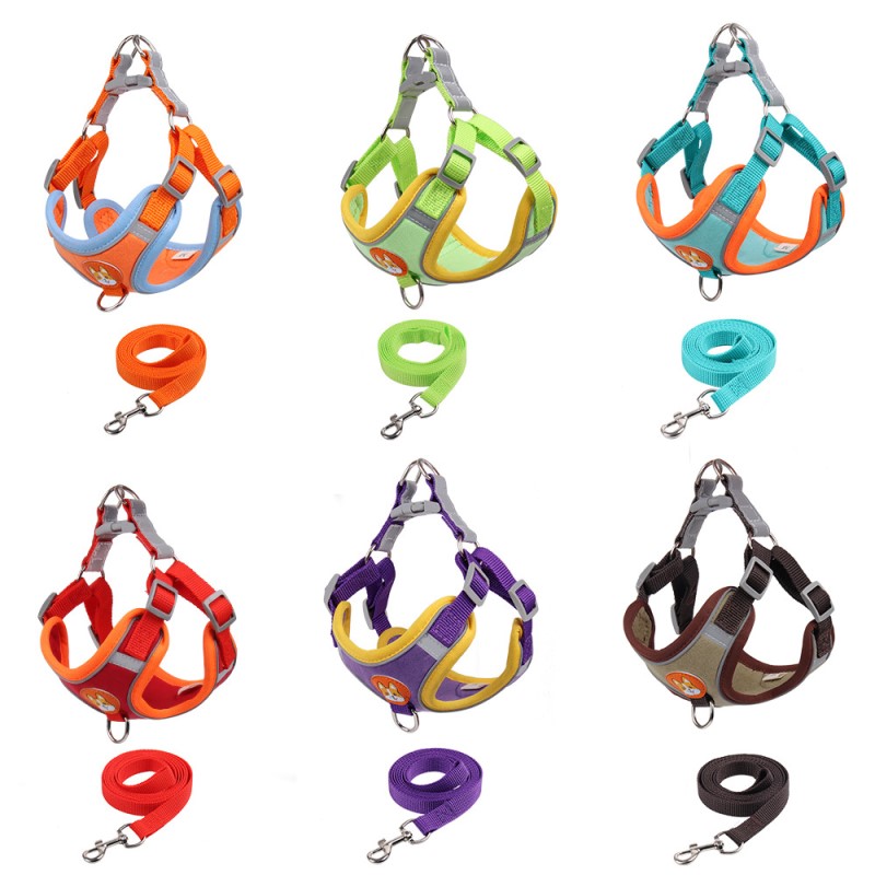 Chamois harness with leash