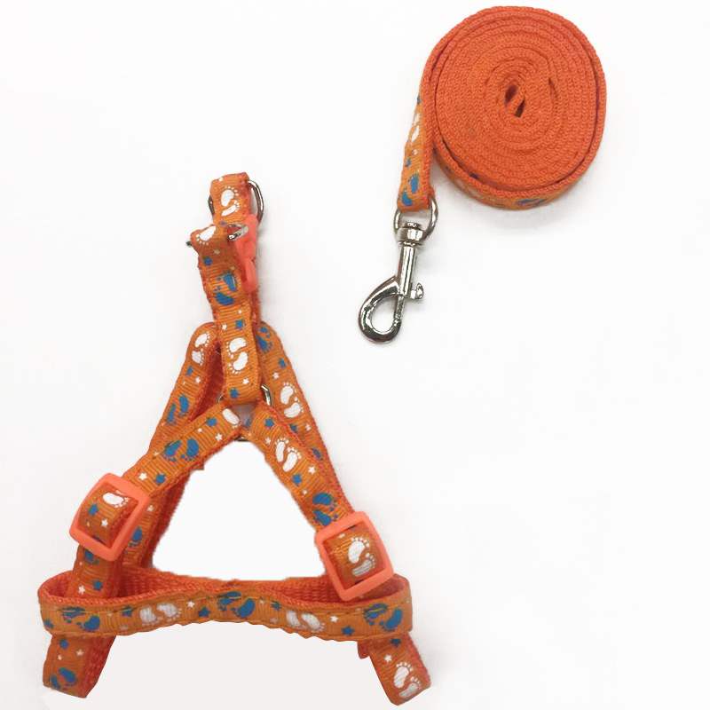 Wholesale pet leash set