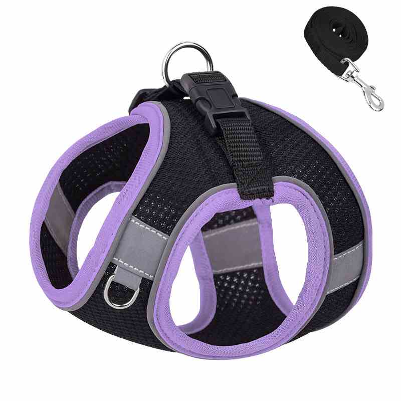 Breathable pet harness and leash set in various sizes