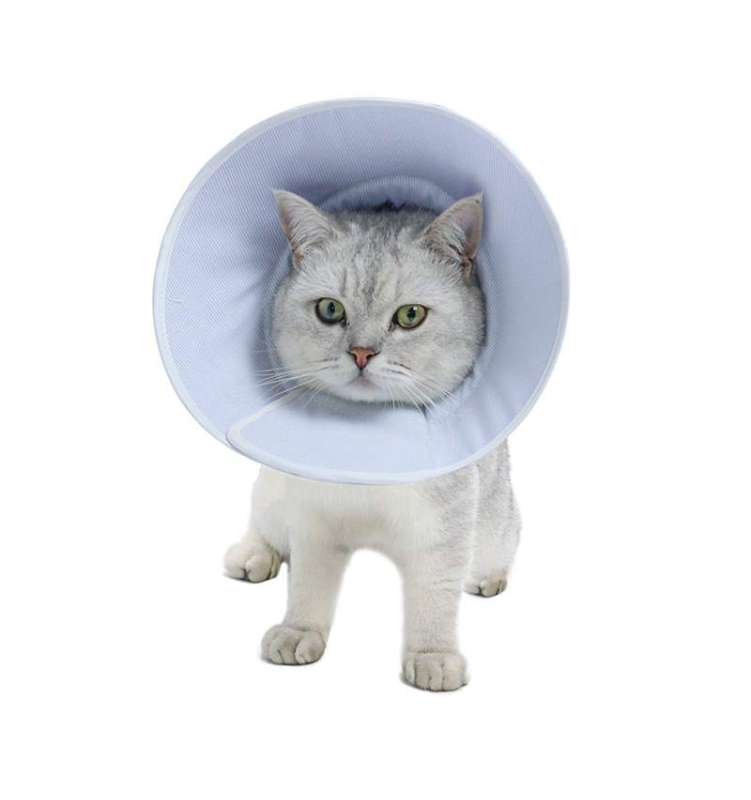 Cotton Solid Color Pet Elizabeth Circle