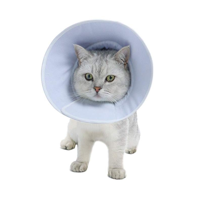 Cotton Solid Color Pet Elizabeth Circle