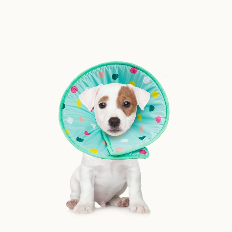 Factory Direct Pet Elizabeth Soft Ring