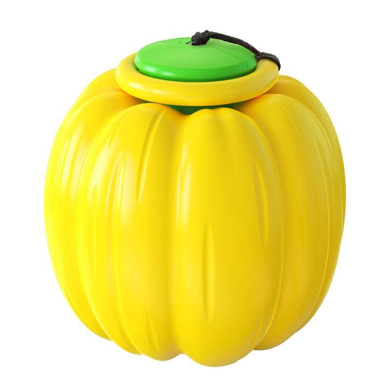 Pumpkin Throwing Dog Toy