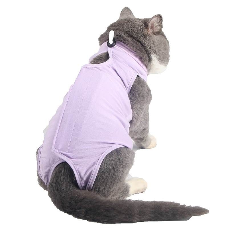 Blue pink purple solid colour neutered clothes for cat