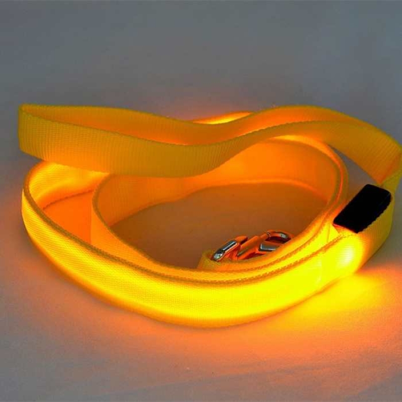 Glowing dog leash