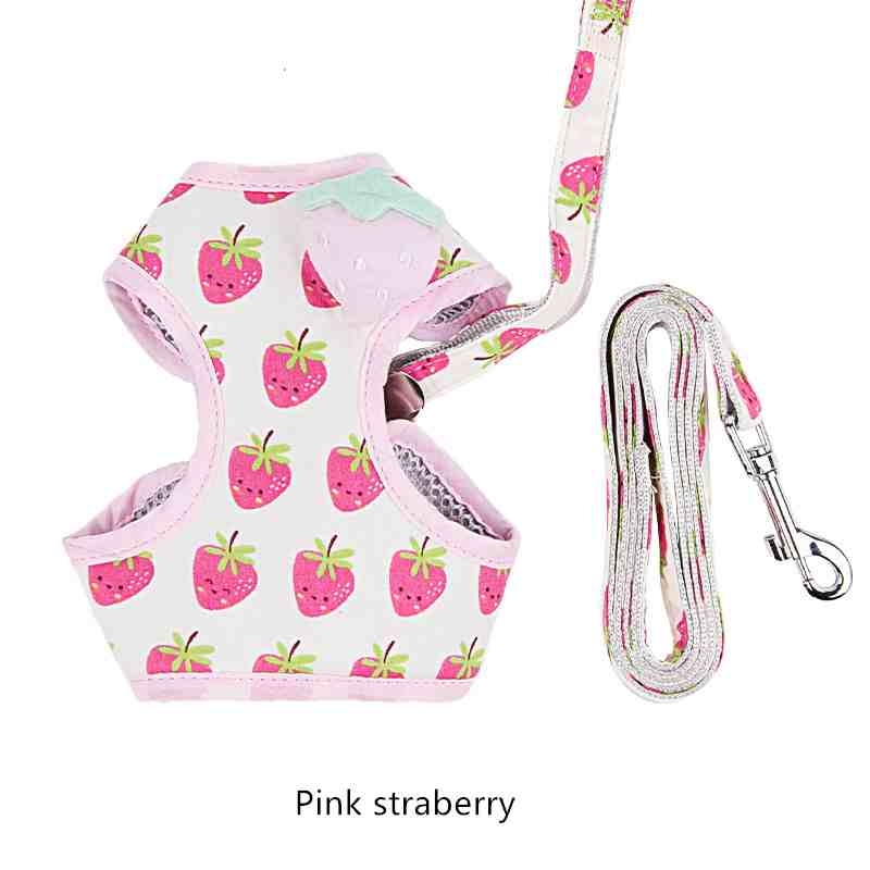 Polyester Plaid Lace harness leash set