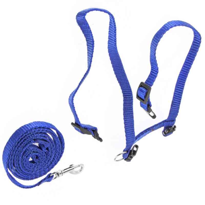 Factory direct I-shaped cat leash