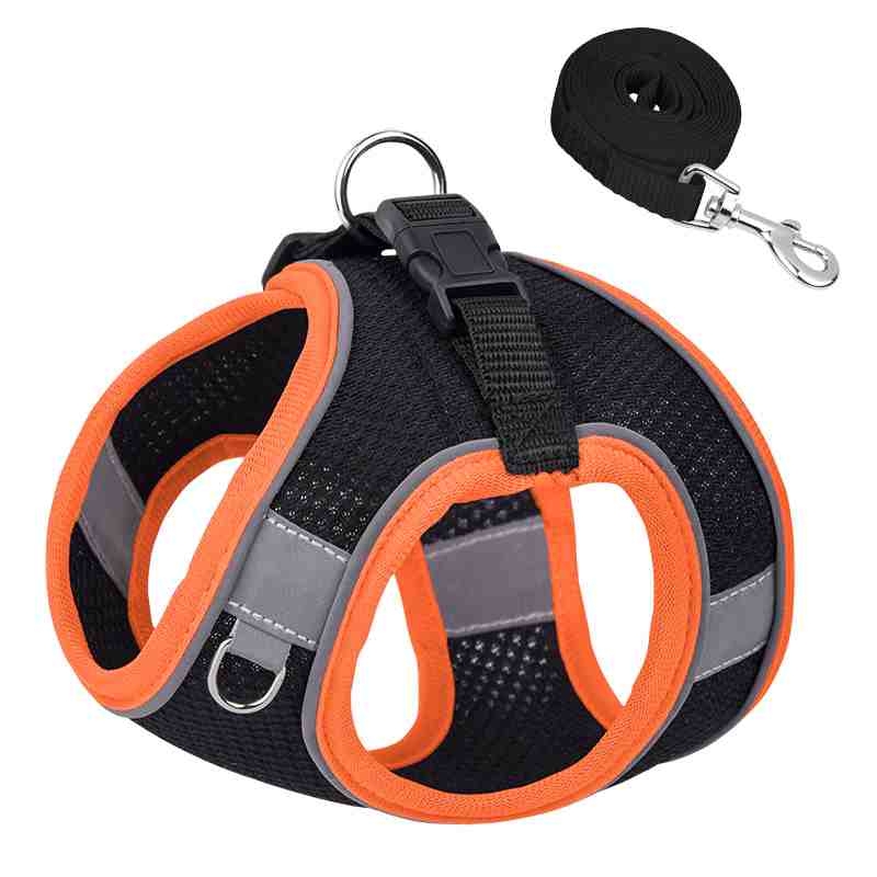 Breathable pet harness and leash set in various sizes